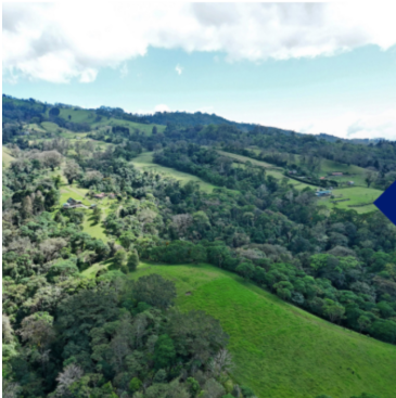 Vista del bosque del Proyecto Narnia